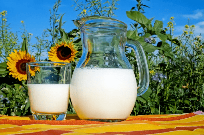 milk is a major component of the Dukan diet